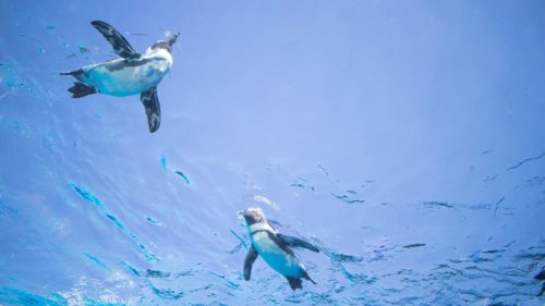 東京都のクライミング施設「コナミスポーツクラブ 池袋」